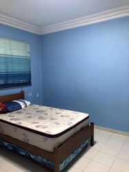 Blk 137 Petir Road (Bukit Panjang), HDB 3 Rooms #512880211